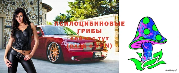 гидропоника Вязьма