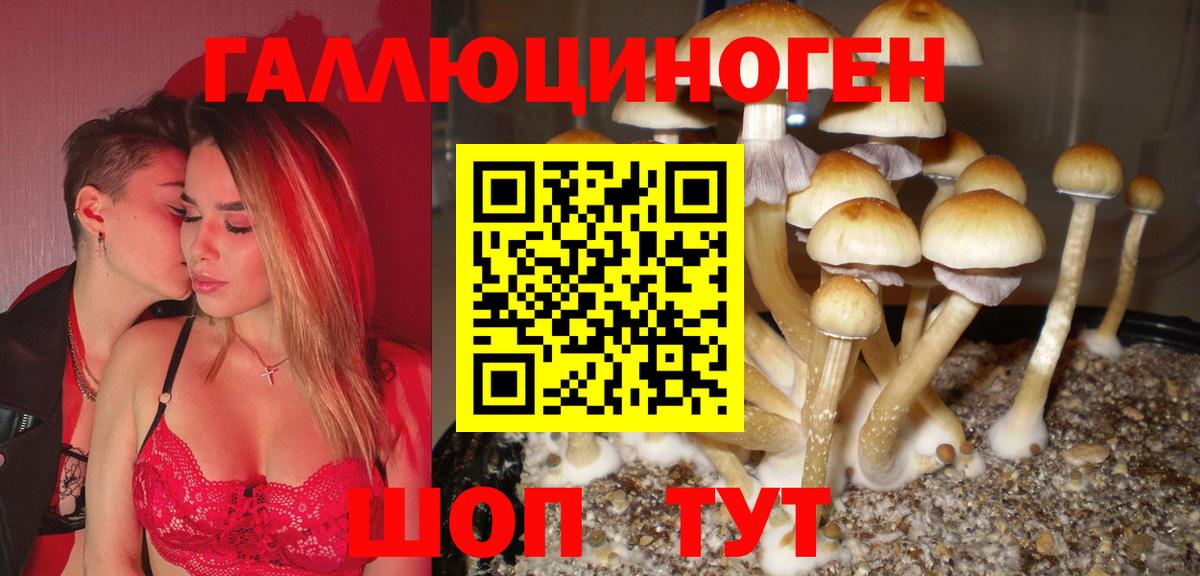 цены   Галлюциногенные грибы Cubensis  Вход с VPN  Вязьма 